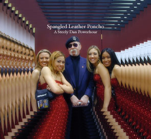 Spangled Leather Poncho: Steely Dan Power Hour Cover